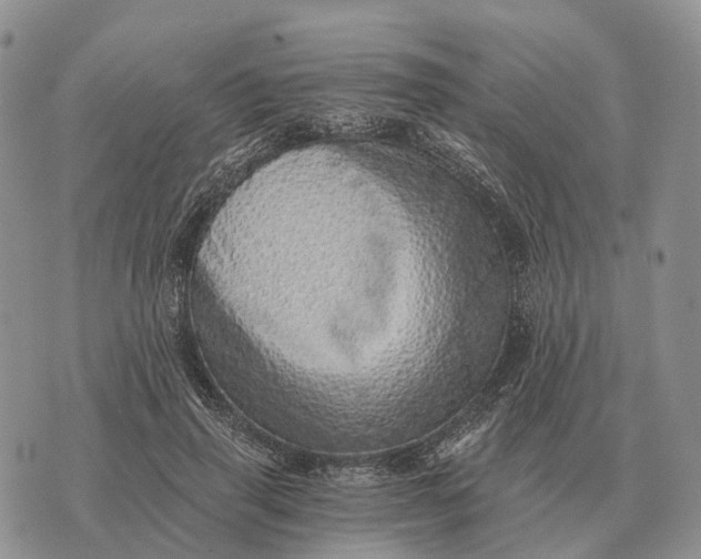 X0000072980645200608111742