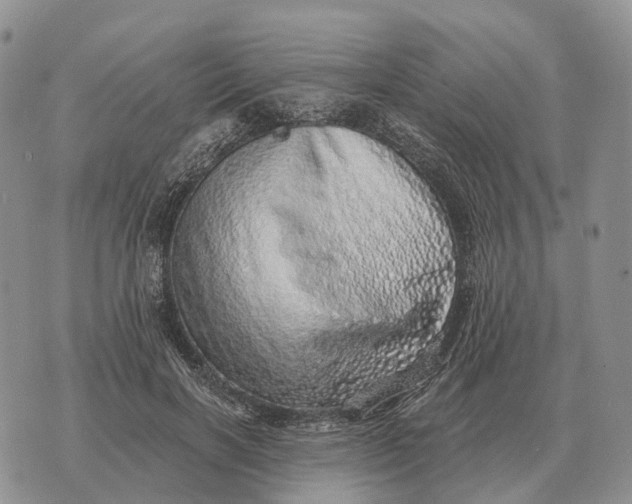 X0000072980646200608111742