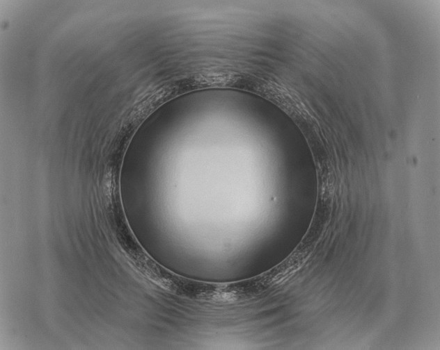 X0000072980647200608111742