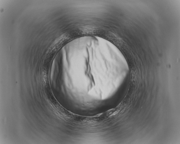 X0000072980648200608111742