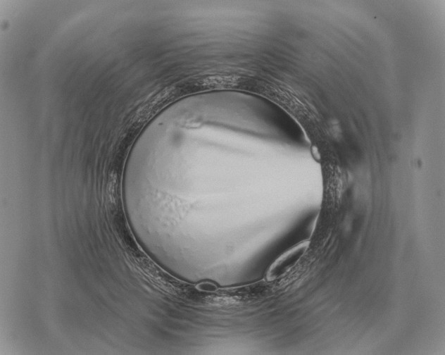 X0000072980649200608111742