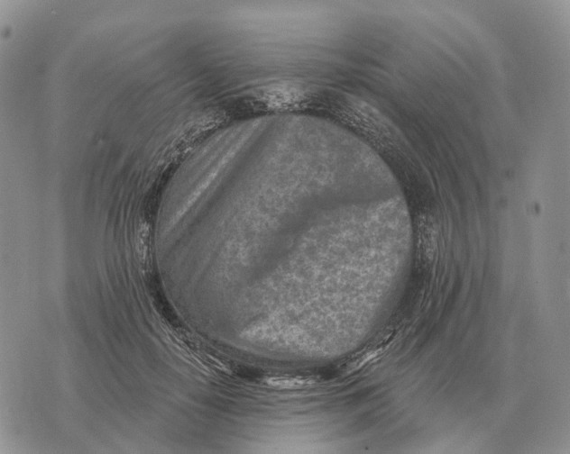 X0000072980650200608111742