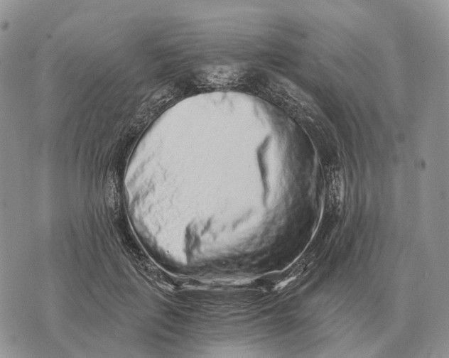 X0000072980651200608111742