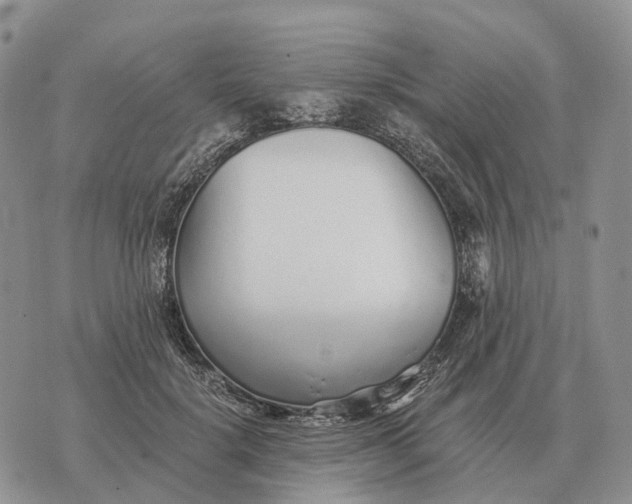 X0000072980652200608111742