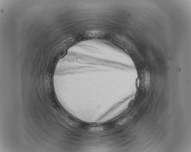 X0000072980653200608111742