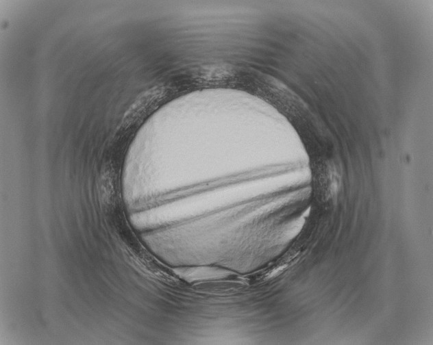 X0000072980654200608111742