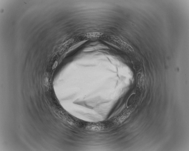 X0000072980655200608111742