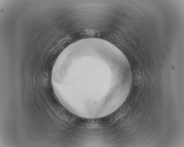 X0000072980656200608111742