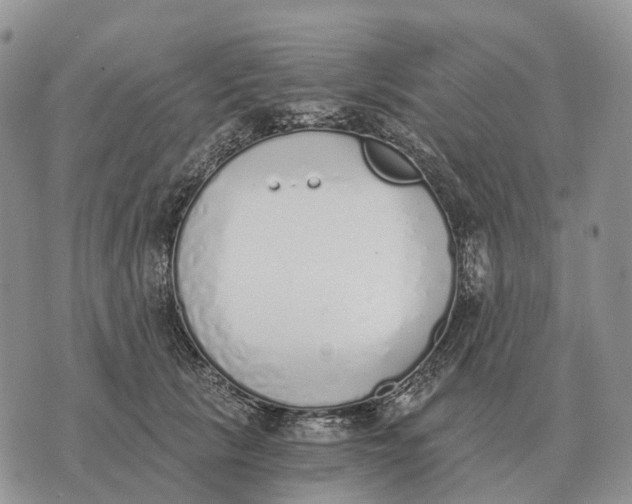 X0000072980657200608111742