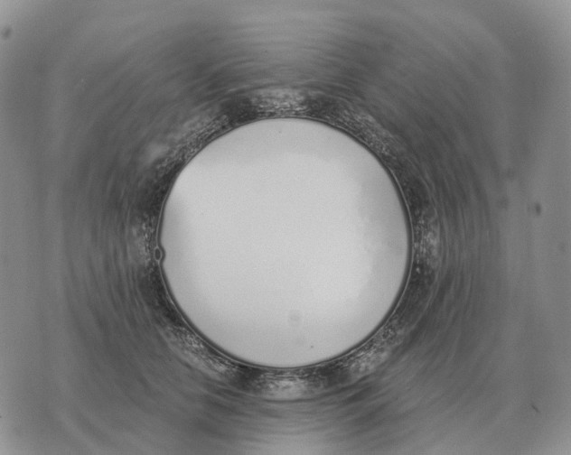 X0000072980658200608111742