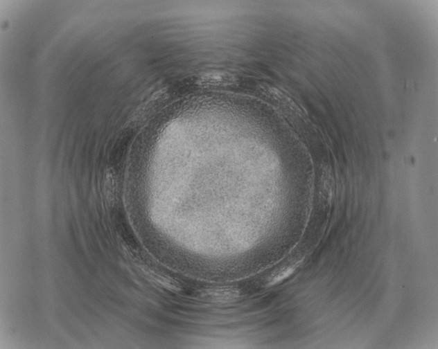 X0000072980659200608111742