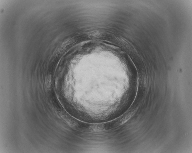 X0000072980660200608111742