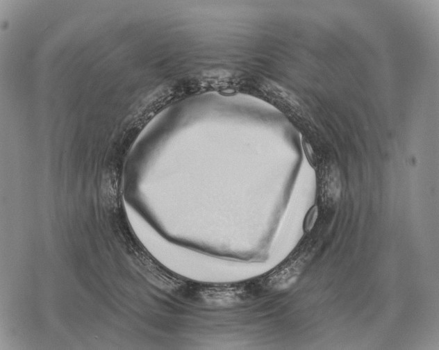 X0000072980661200608111743