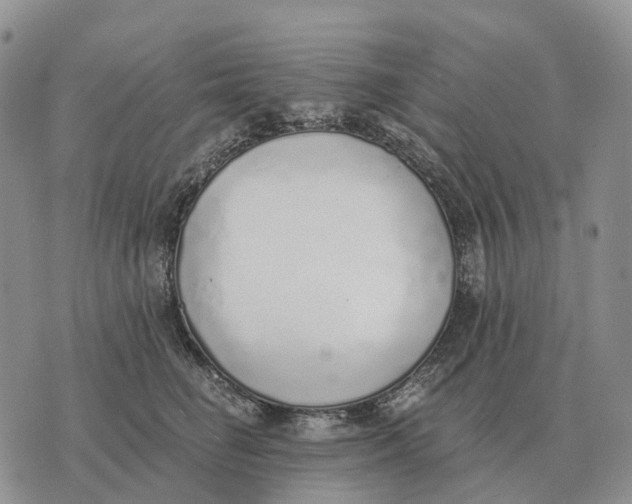 X0000072980662200608111743