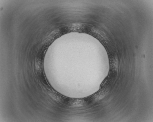 X0000072980663200608111743