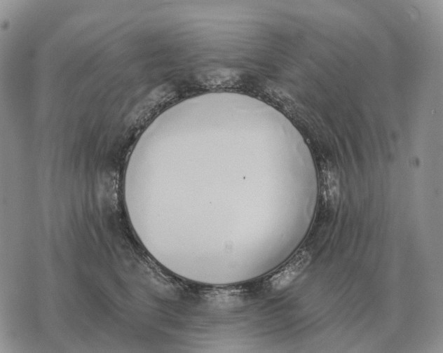 X0000072980664200608111743