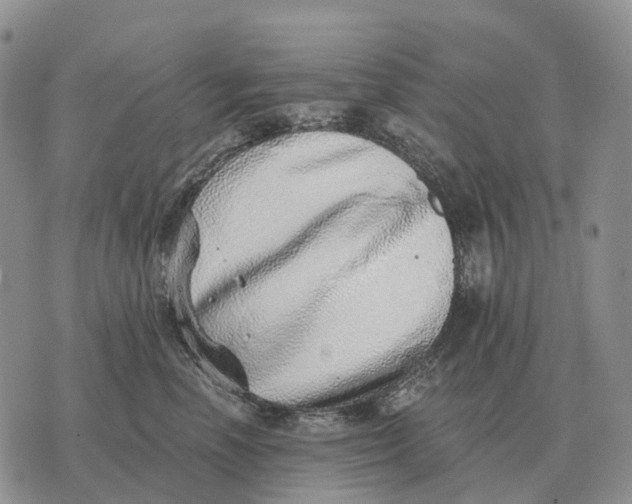 X0000072980666200608111743