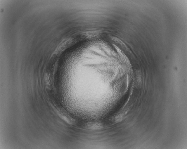 X0000072980667200608111743