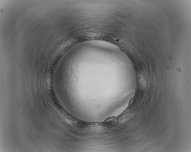 X0000072980668200608111743