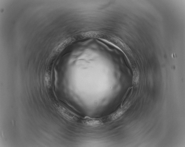 X0000072980669200608111743