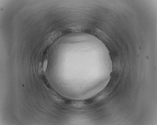 X0000072980671200608111743