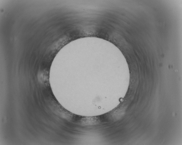 X0000072980672200608111743