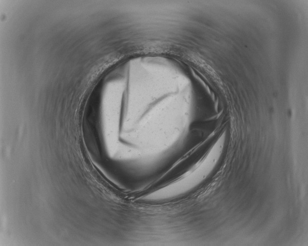 X0000072980673200608111742