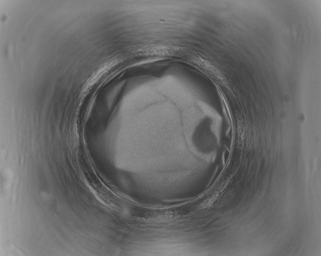 X0000072980674200608111742