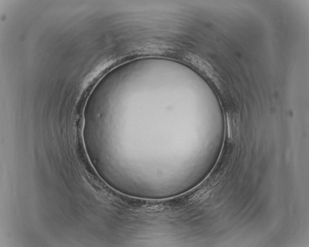 X0000072980675200608111742