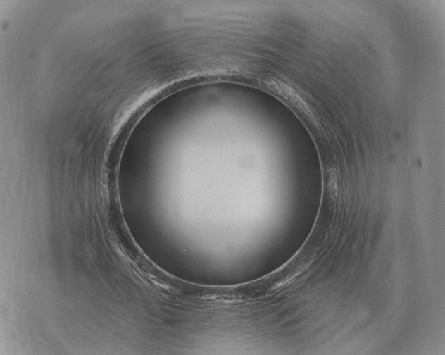 X0000072980676200608111742