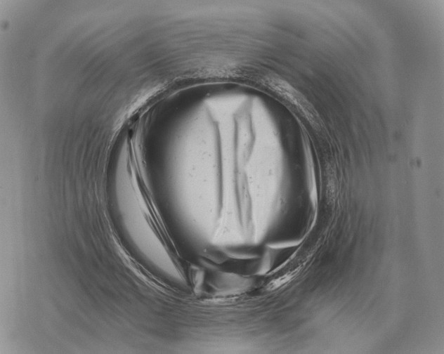 X0000072980677200608111742