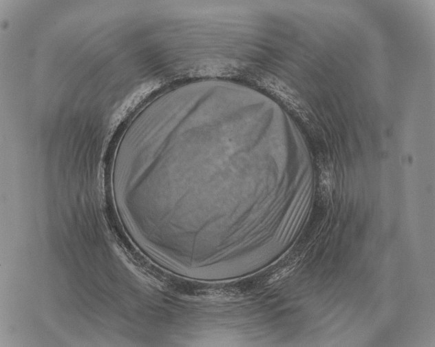 X0000072980678200608111742