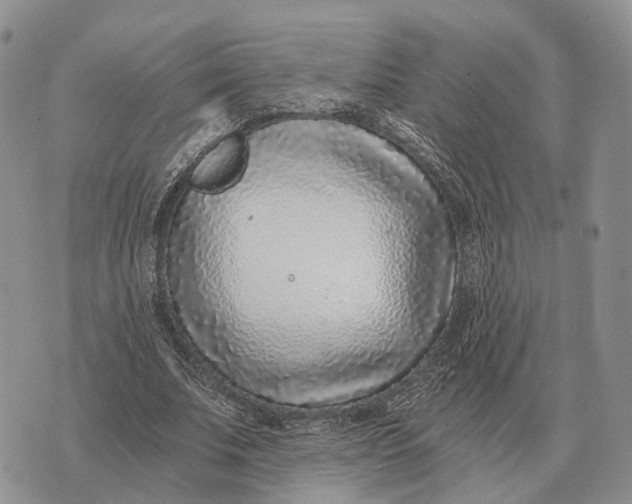 X0000072980679200608111742