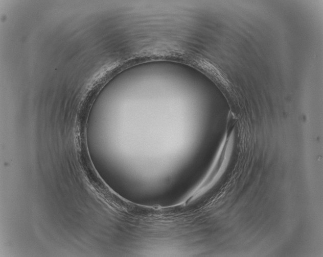 X0000072980680200608111742