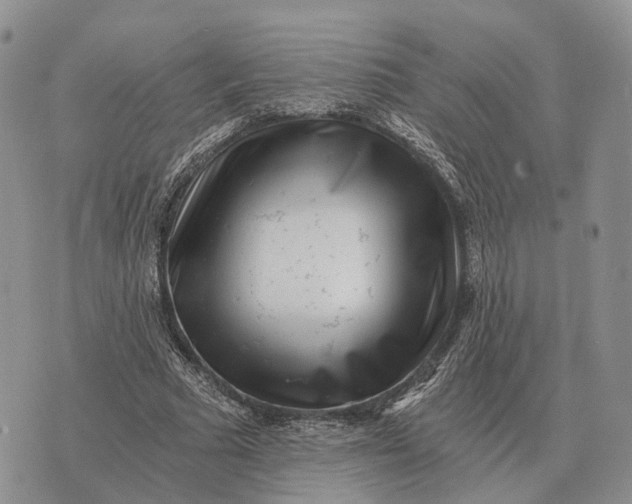 X0000072980681200608111742