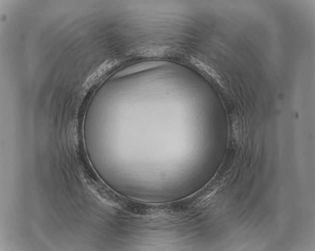 X0000072980682200608111742