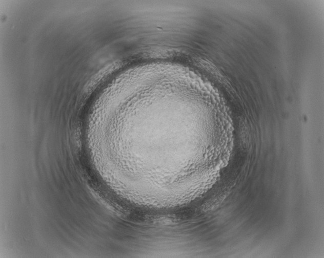 X0000072980683200608111742