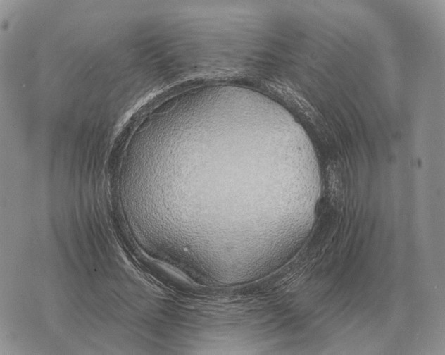 X0000072980684200608111742