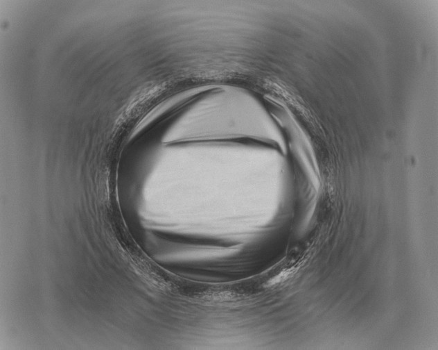 X0000072980685200608111742