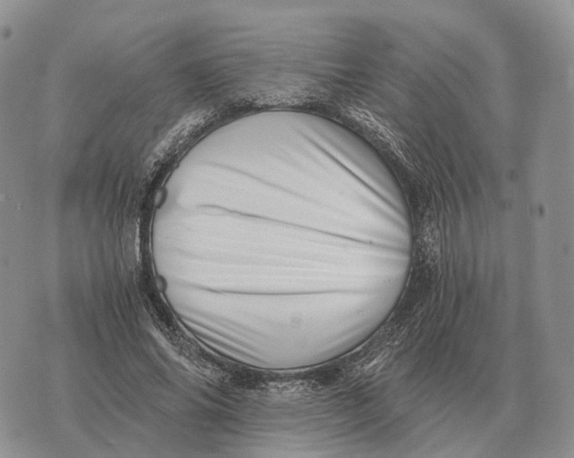 X0000072980686200608111742