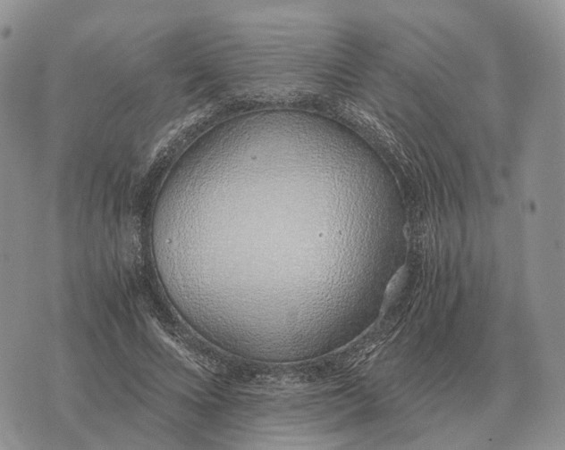 X0000072980688200608111742