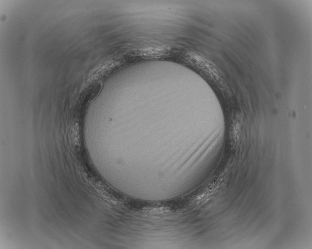 X0000072980689200608111742