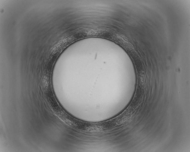 X0000072980691200608111742