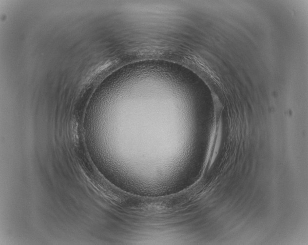 X0000072980692200608111742