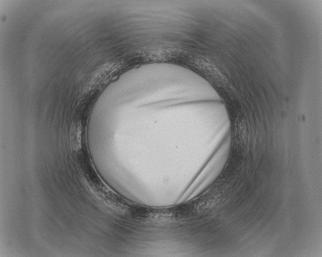 X0000072980694200608111742