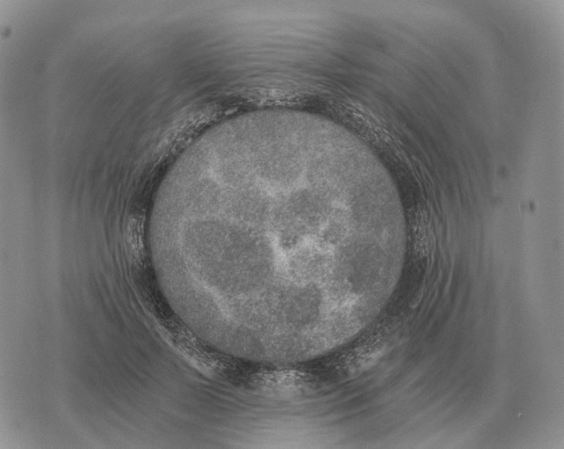 X0000072980695200608111742