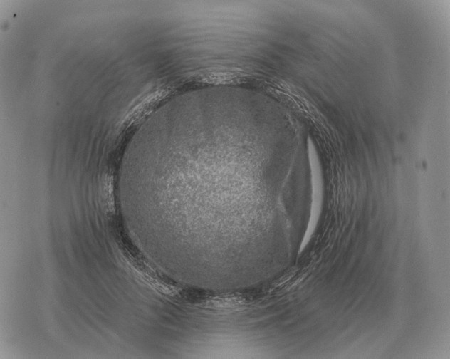 X0000072980696200608111742