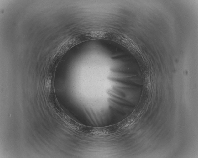 X0000072980697200608111742