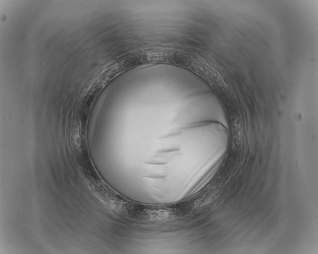 X0000072980698200608111742