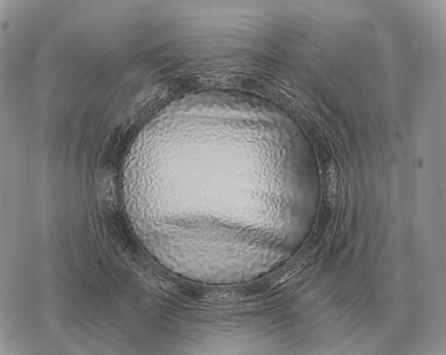 X0000072980699200608111741